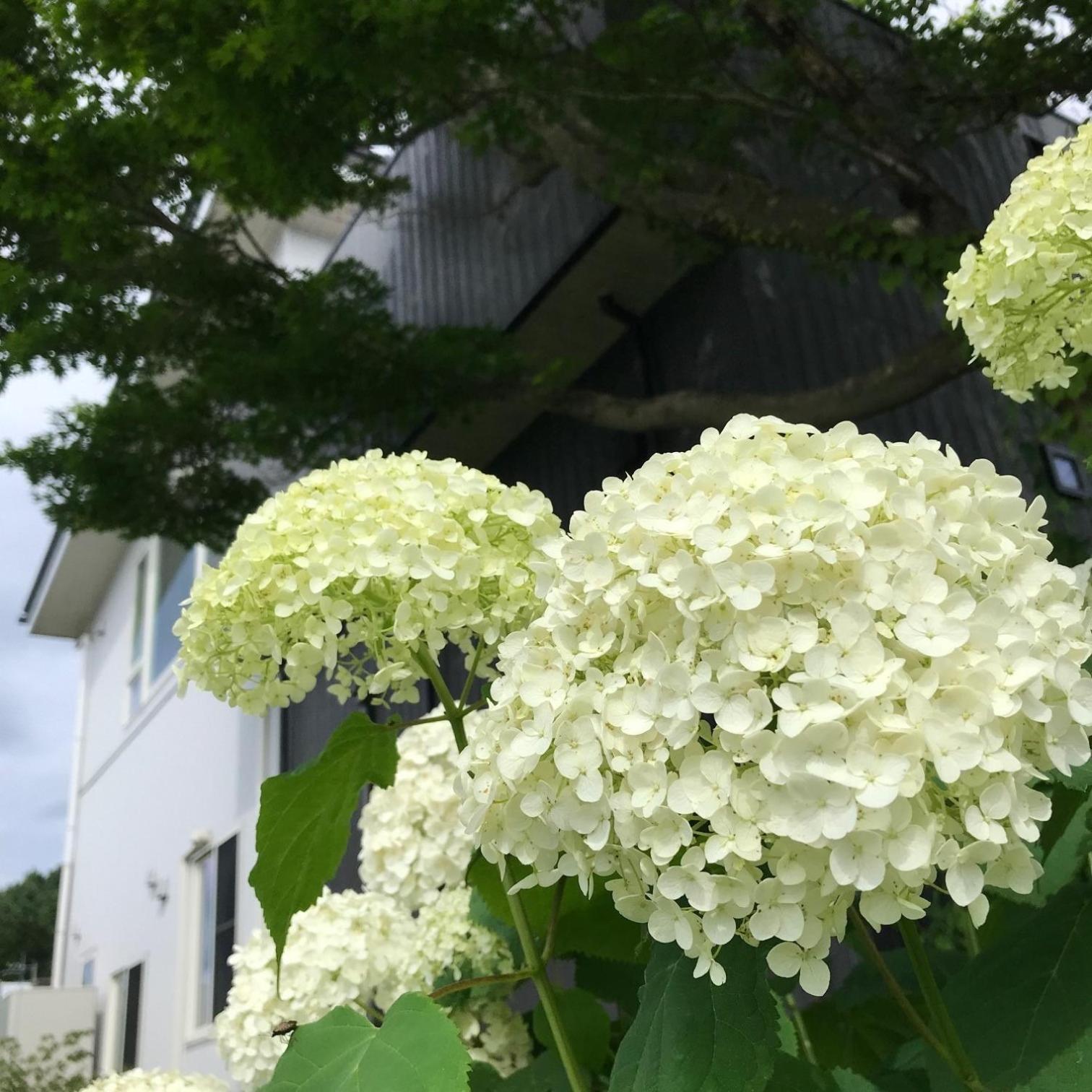Sweet Villa Takasama - Vacation Stay 11775 후지요시다 외부 사진