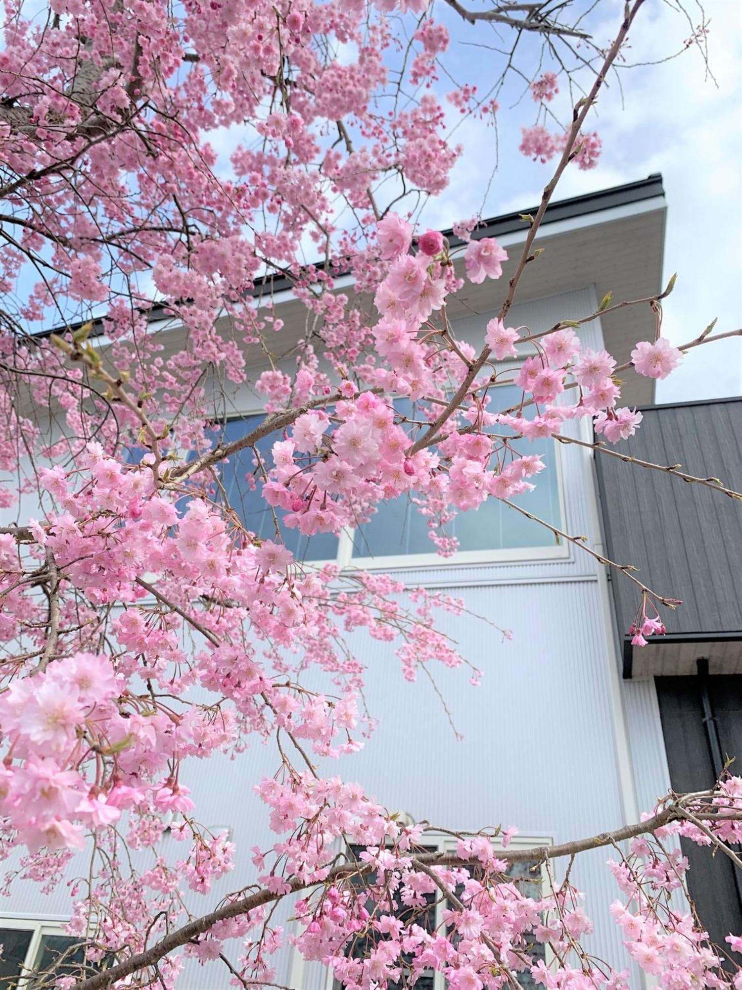 Sweet Villa Takasama - Vacation Stay 11775 후지요시다 외부 사진
